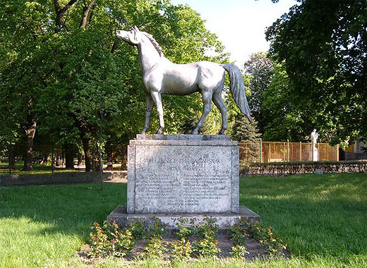 памятник лошадям