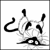 moir
