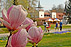Hunguest Hotel Panoráma *** (Hévíz)