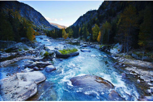 Исследования показывают уральское происхождение венгров