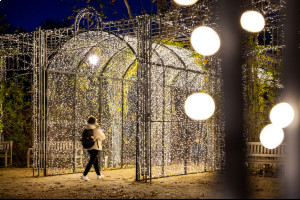 Адвент в Городском парке Будапешта: световые инсталляции и праздничные фото Адвент в Городском парке Будапешта: световые инсталляции и праздничные фото