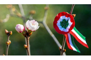 Национальный праздник Венгрии / Magyarország nemzeti ünnepe