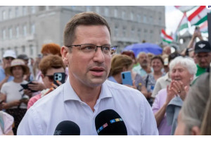 Лидер фракции «Фидес» Гергей Гуйяш ушёл в отставку Лидер фракции «Фидес» Гергей Гуйяш ушёл в отставку