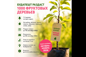 Как получить бесплатное фруктовое дерево в Будапеште