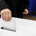 Депутаты приурочили местные выборы к выборам в Европарламент