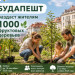 Будапешт раздаст жителям 1000 фруктовых деревьев