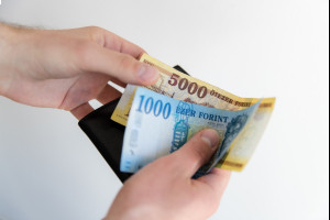 В Венгрии вырос объем наличных денег В Венгрии вырос объем наличных денег