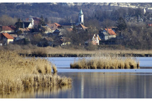 В Венгрии мечта о жизни в пригороде столкнулась с препятствием